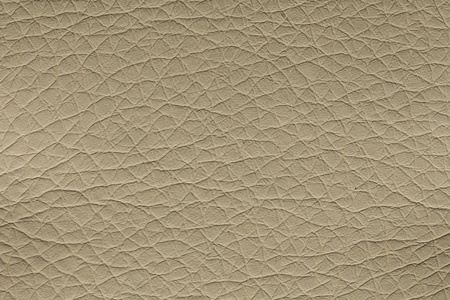 岁月纹章 棕褐色皮革的质感诗篇